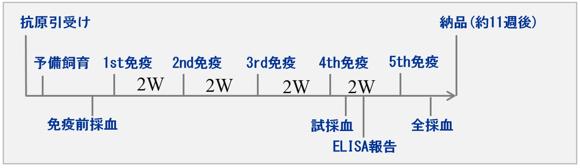  フナコシ 通常プラン　ポリクローナル抗体作製受託サービス