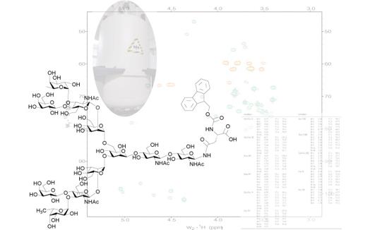  医化学創薬 NMRを用いた糖鎖解析サービス