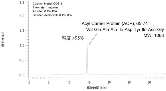  医化学創薬 ペプチド受託合成サービス