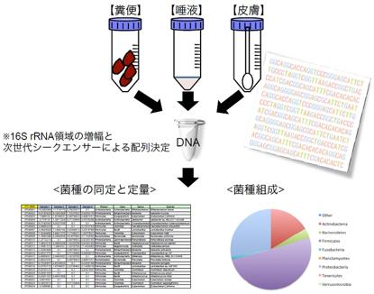 DNAチップ研究所 16S rRNA解析（細菌叢解析）
