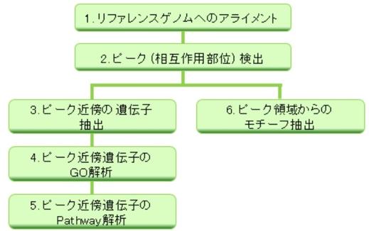  DNAチップ研究所 DNAメチレーション解析受託サービス