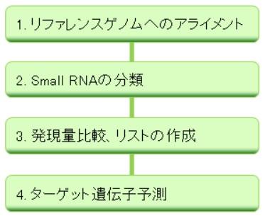  DNAチップ研究所 Small RNA-Seq (microRNA-Seq)解析受託サービス