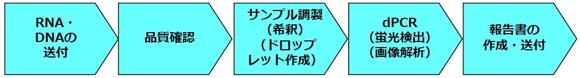  DNAチップ研究所 デジタルPCR受託サービス