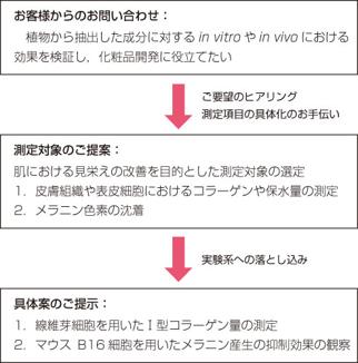  エーセル 動物細胞実験受託サービス