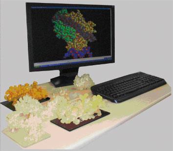  スリーエス 分子模型作製受託サービス