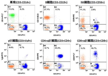  日本バイオセラピー研究所 フローサイトメトリーを用いた細胞解析受託サービス