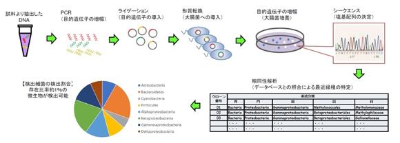  中外テクノス クローニングライブラリー法による環境微生物解析受託サービス