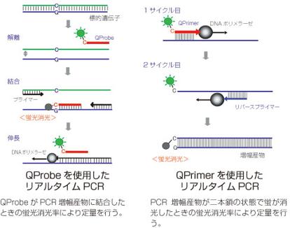  日鉄環境 QProbe / QPrimer合成受託サービス