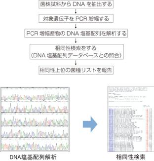  日鉄環境 微生物同定受託サービス