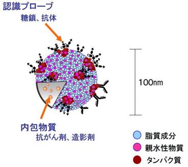  片山化学工業 修飾リポソーム調製サービス