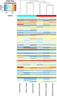 解析例：修飾miRNA、pre-miRNA、tsRNA（tRFとtiRNA）の階層的クラスタリングヒートマップ
