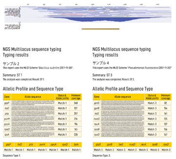 MLST (Multi locus sequencing typing) 解析の結果。ショットガンゲノムシークエンスにより遺伝子領域を同時に同定し菌のタイピングを行う方法であり、従来の方法に比べて迅速かつ高精度に行うことができると考えられます。