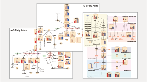 ω3脂肪酸やω6脂肪酸の代謝など、測定結果の一部を代謝経路に描画したものが基本の解析結果として付属します。