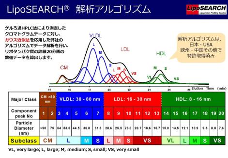 リポタンパク質サブクラス