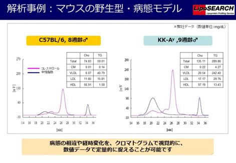 LipoSEARCH_解析事例1