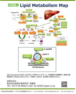 参考資料_脂質代謝マップ