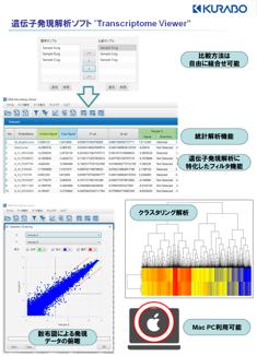 各サンプルの各遺伝子・転写産物・miRNA種の発現値、検出フラグデータ（一部のアレイのみ対応）が確認できます。弊社開発の「Transcriptome Viewer」を利用いただくことで、統計解析によるサンプル間の遺伝子発現比較、発現変動遺伝子の抽出（フィルタリング）、データのグラフ化・可視化（散布図、クラスタリング）などが可能になります。本ツールによりマイクロアレイ解析後の2次解析をスムーズに進めることができます。