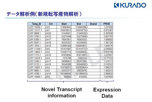 マッピングされた染色体の位置情報（染色体番号、塩基番号）、遺伝子コード方向（フォワード鎖／リバース鎖）、発現値（FPKM値）をエクセルファイルにて報告します。