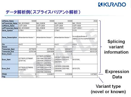 バリアントを検出した遺伝子の情報（遺伝子名、データベースID、染色体位置）、バリアントに関する情報（エクソン数、エクソン開始・終止場所）、発現値（FPKM値）をエクセルファイルにて報告します。