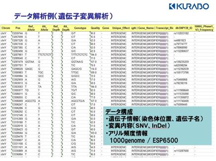 各染色体部位において検出した遺伝子変異情報（SNP, short InDel）をエクセルファイルにて報告します。変異情報としては①変異を検出した染色体部位（染色体番号、塩基番号）②変異情報（標準／変異塩基配列情報、シーケンス頻度）③変異箇所の遺伝子情報（遺伝子名、各種データベースID、変異頻度など）となります。