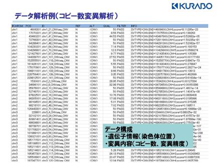 コピー数変異を検出した染色体領域、コピー数変異情報をエクセルファイルにて報告します。