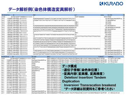 構造変異を検出した染色体領域、構造変異情報（逆位・転座などの変異情報）をvcfファイル形式にて報告します。