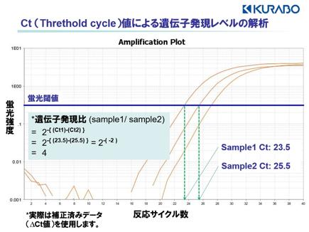 解析対象の遺伝子の発現量をTaqMan® Probe Assayで相対定量します。蛍光強度を指標に、解析対象遺伝子の増幅量をリアルタイムにモニタリングします。ある一定の蛍光強度に達した時点の増幅サイクル数（Ct値：Threthold cycle）を計測します。
解析対象遺伝子のCt値は内部標準遺伝子のCt値によって補正され（ΔCt値）、サンプル間の遺伝子発現をそれぞれのΔCt値で比較します（ΔΔCt法）。