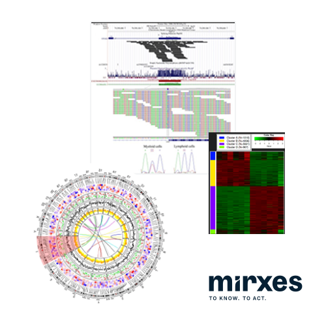データ処理・解析 ミレックサス・ジャパン株式会社 Mirxes バイオインフォマティクスサービス　2次解析　ヒト全ゲノムメチル化シーケンスーWGMS 30x