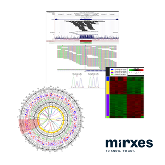 データ処理・解析 ミレックサス・ジャパン株式会社 Mirxes バイオインフォマティクスサービス　3次解析　ヒトRNA-Seq