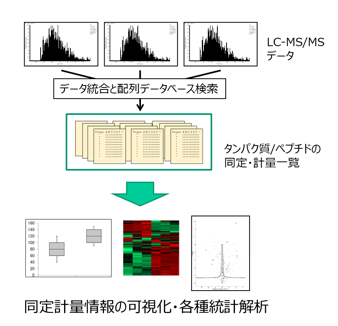 プロテオームデータ解析のワークフロー
　現在のプロテオミクスが取り扱う情報の量は、質量分析計や各種分離技術の発展に伴ってますます膨大になっています。メディカル・プロテオスコープでは、受託分析を通じてプロテオームの測定データを処理・解析するためのノウハウを蓄積しています。単なるタンパク質同定計量一覧の提供にとどまらず、適切な解析ソフトウェアを用いて重要な候補タンパク質の「見える化」をサポートします。