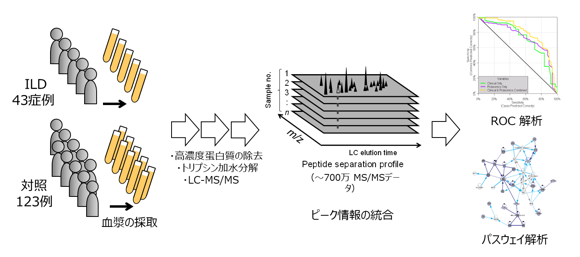 血漿/血清プロテオミクスの実施例
　製薬企業との共同研究です。抗がん剤ゲフィチニブの副作用予測因子を患者血漿から同定しました（Nyberg F et al., PLoS One. 2011; 6(7): e22062.）。
