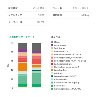 解析概要