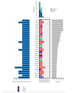 Heatmap of significantly mutated genes