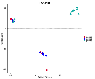 OTUに基づく主成分分析（PCA）