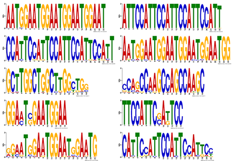 Motif analysis