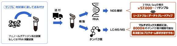 LC-MS/ショットガン解析/RNA-Seq かずさゲノムテクノロジーズ マルチオミックス解析受託サービス