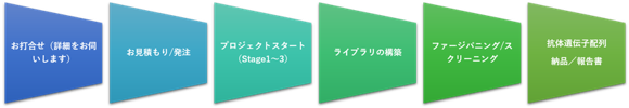 親和性向上サービス　の作業の流れ