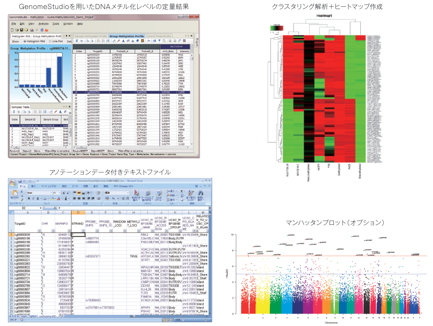 GenomeStudioソフトウェアを用いてDNAメチル化レベルの定量を実施します。DNAメチル化レベルのサンプル間（または群間）比較結果とアノテーションデータ付きテキストファイル※およびクラスタリング解析結果とヒートマップを納品いたします。また、染色体上の位置とその座位に対応する任意の値（P値、DiffScoreなど）をプロットしたマンハッタンプロットも、オプションとしてご提供可能です。