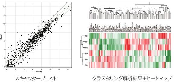 オプション解析
GeneSpring® GXを用いて以下の解析を実施します。
・スキャッタープロットの作成
・発現変動比の算出
・発現変動遺伝子の抽出
・クラスタリング解析+ヒートマップ作成