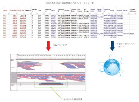解析結果
リード配列を参照配列に対してマッピングし、変異箇所(SNV)を検出します。 検出されたSNVは、各種アノテーションをつけてエクセル・マクロファイルとテキストファイルでご提出します。 SNVの検出だけでなく、構造変異の検出結果も納品いたします。
