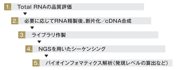 解析ワークフロー