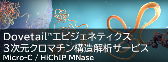 ChIP-Seq/Exome Dovetail Genomics エピジェネティクス3次元クロマチン構造解析サービス Dovetail Genomics®