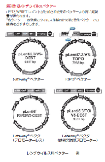 第3世代レンチウイルスベクター