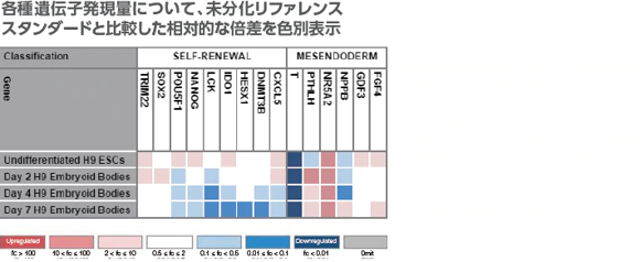 各種遺伝子発現量について、未分化リファレンススタンダードと比較した相対的な倍差を色別表示