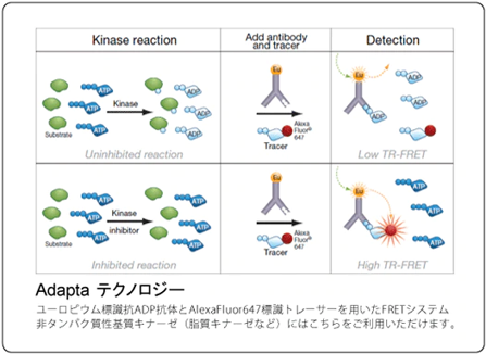 脂質のような非ペプチド性基質にも対応したInvitrogen™ Adapta™ テクノロジー 