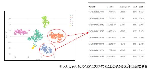 【情報解析例:t-SNE解析および変動遺伝子の検出】