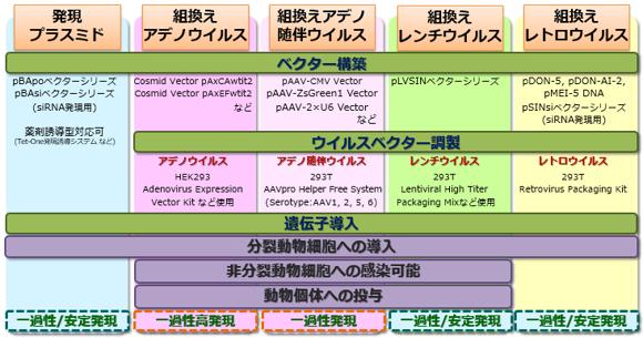 標本作製/細胞作製 タカラバイオ 安定発現細胞株作製・哺乳動物細胞実験