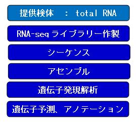 作業の流れ