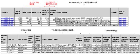 配列情報、発現量情報
コンティグ配列情報、サンプル毎の発現量情報および各種アノテーション情報などをまとめたリストを納品いたします。