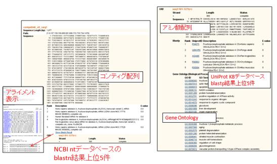 さらに、コンティグや相同性検索結果の詳細情報を納品いたします。